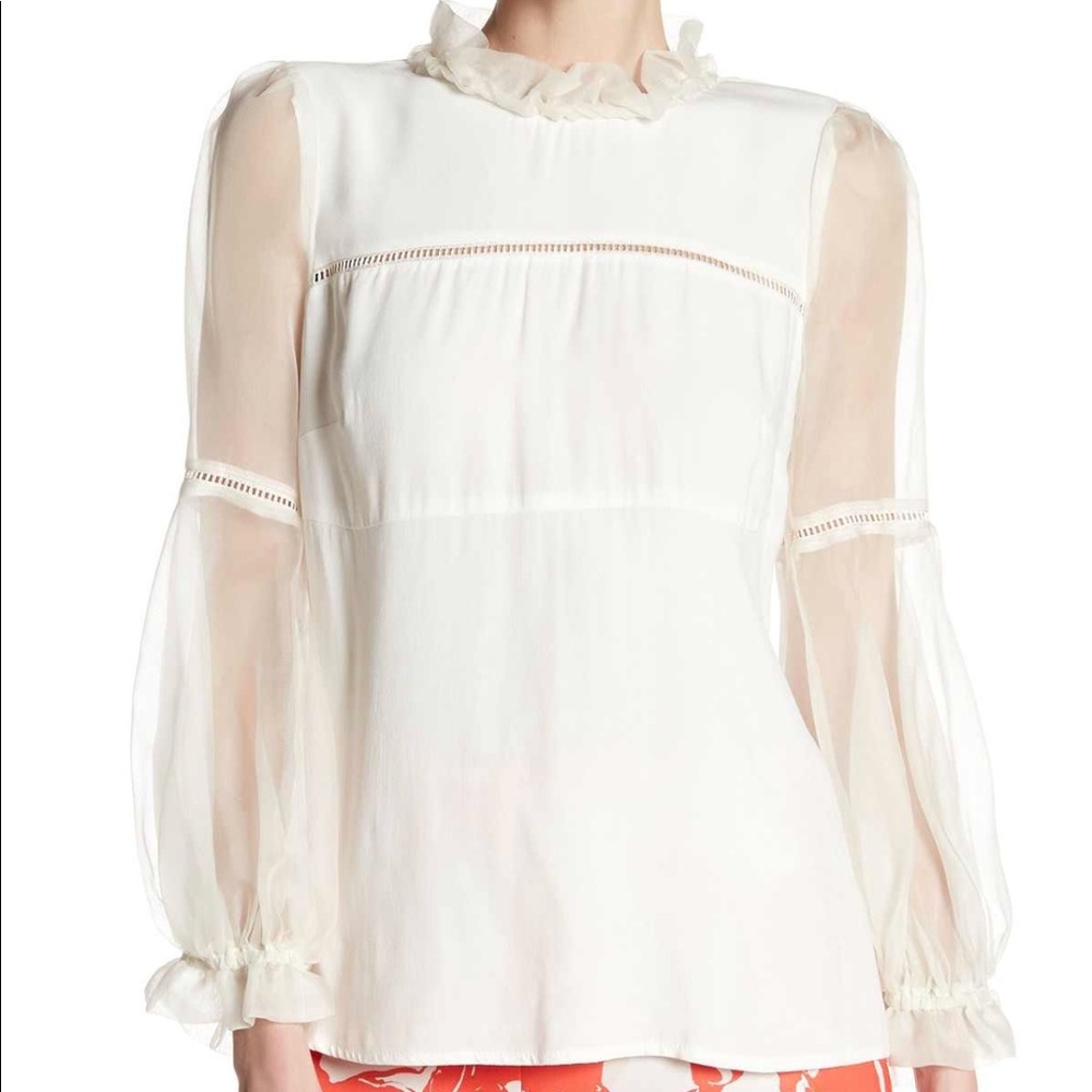 Allen Schwartz Buffalo Sean Blouse